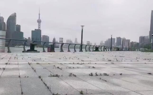 辟谣外滩长草被质疑 官方再回应：网传“外滩长草”的照片距外滩4公里